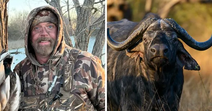 ‘Black Death’ Buffalo Ends $10K Safari With Fatal Goring Of Texan Trophy Hunting Millionaire