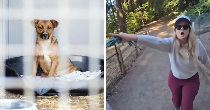 Unhinged 'Karen' Explodes At Man Walking His Dog, Then Accuses Him Of Harassment After Being Filmed