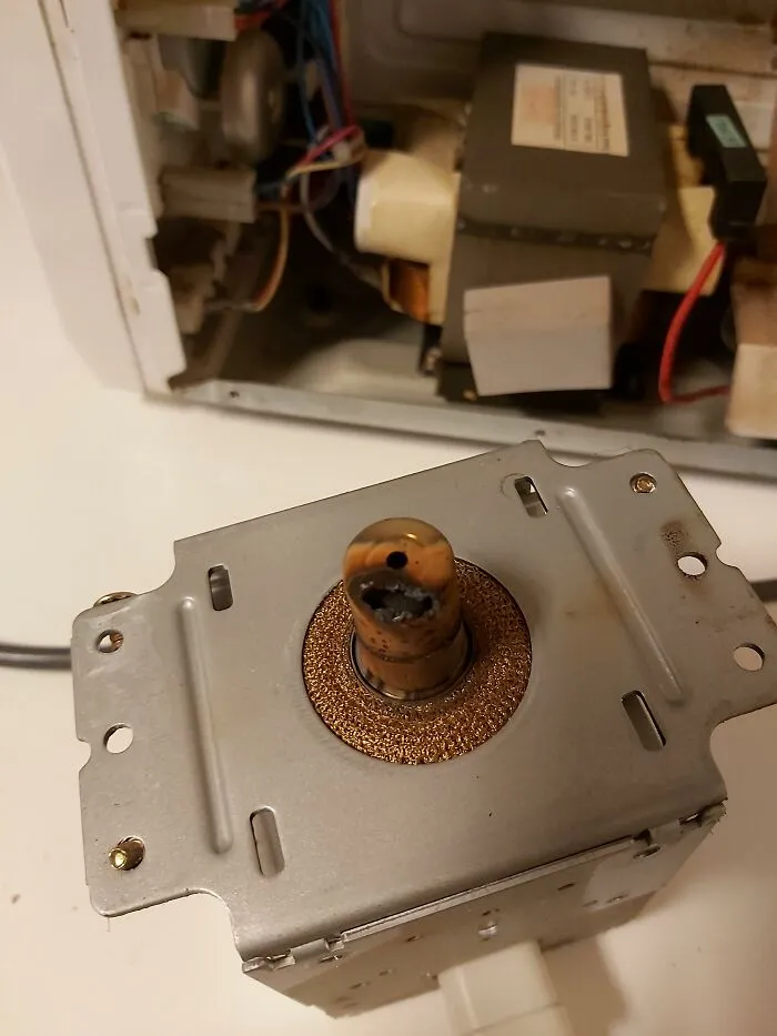 15 Things Autopsy Tech Swears To Never Do: “I Will Never Forget That Smell”