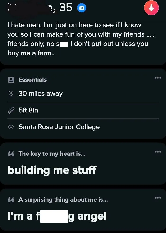 Screenshot from dating profile showing toxic behavior and statements reflecting the theme of nice girls being as toxic as nice guys.