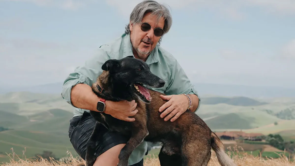 Hero Dog Jumps In Front Of Angry Bull During Family Walk, Loses A Tooth But Saves His People