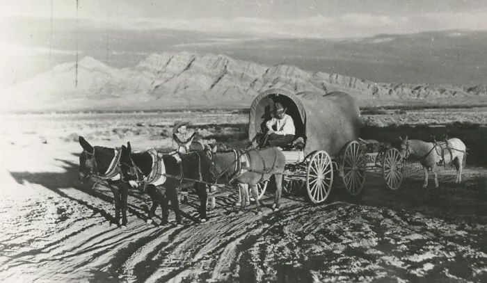 Miners And Burros, Las Vegas, Nevada, 1910s