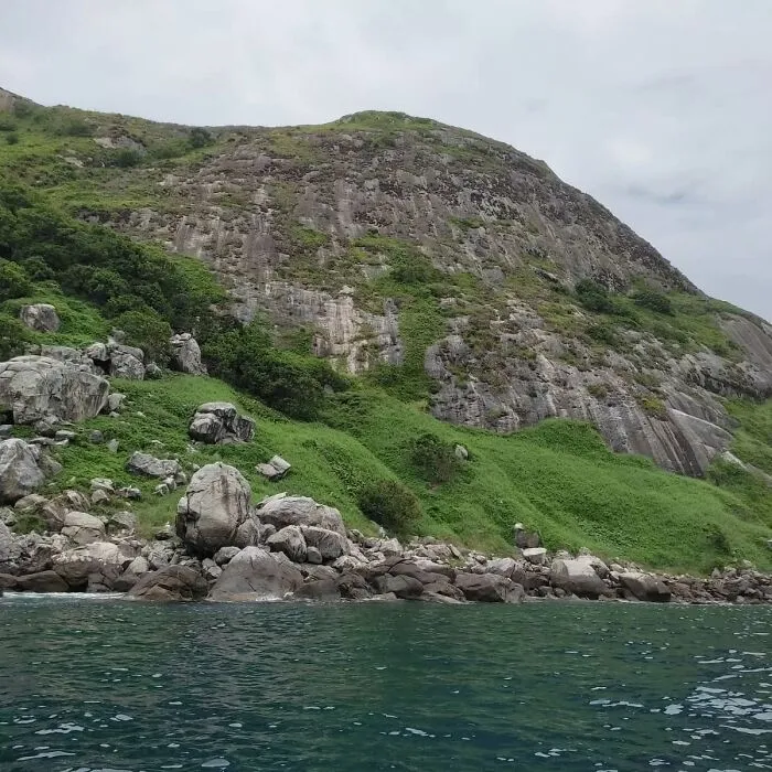 Ilha Da Queimada Grande, Brazil