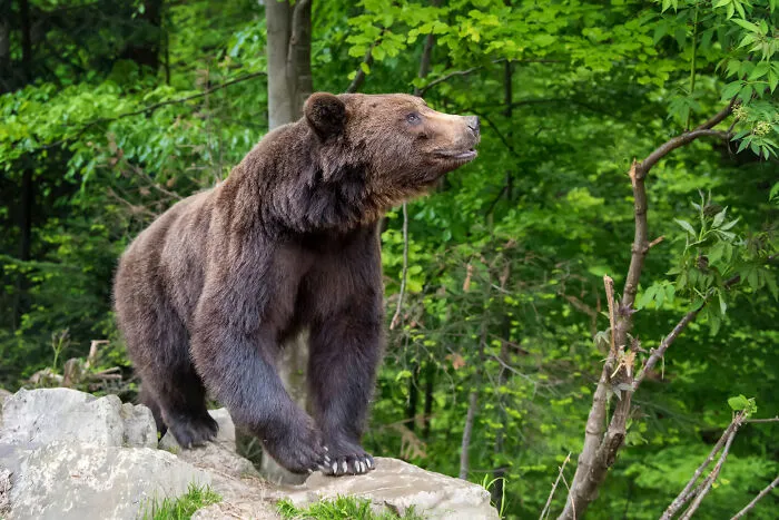 “Still Scares Me”: 47 People Who Couldn’t Sleep For Days After Spending Time In The Woods