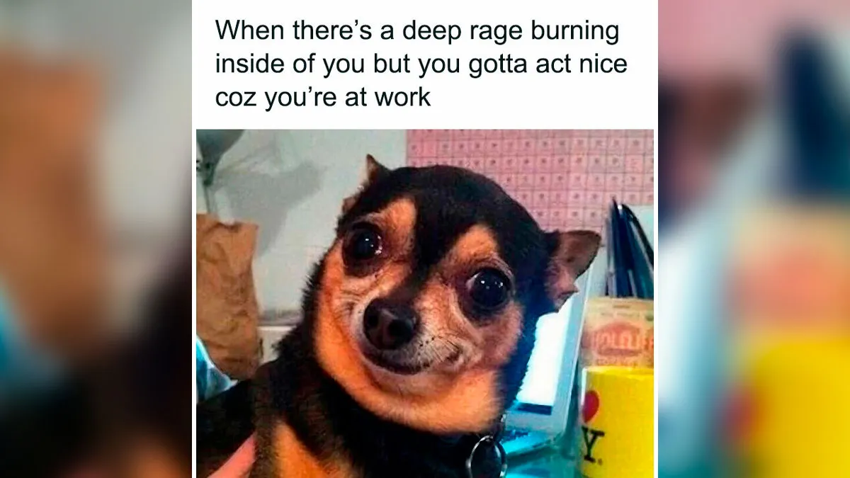 50 Unhinged Memes That Make Corporate Slavery Look Funny (New Pics)