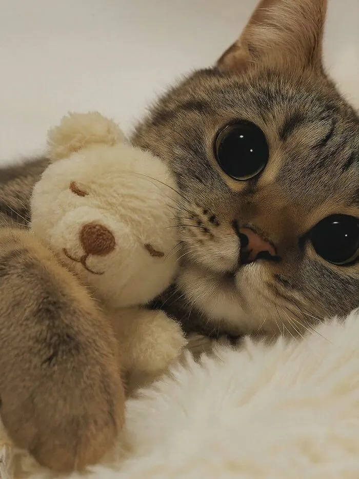 50 Times Animals Charmed Us With Being In Very Weird Places