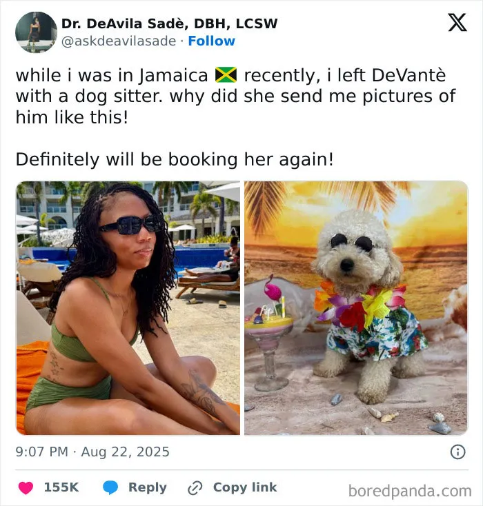 50 Hilarious Tweets That Helped Us Collectively Survive This August