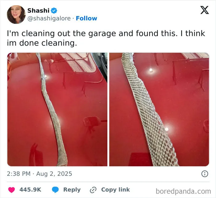 50 Hilarious Tweets That Helped Us Collectively Survive This August