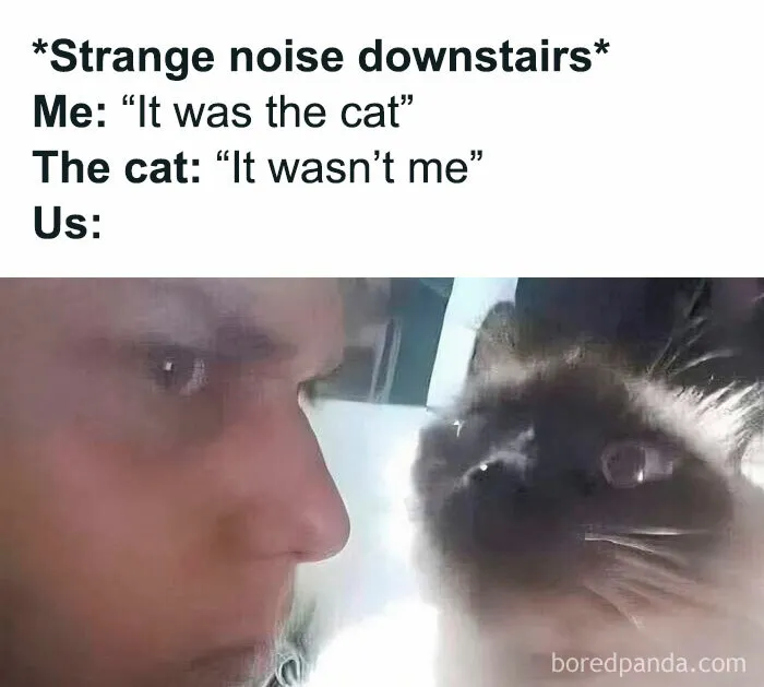 50 Hilariously Dark Memes For People Who Laugh In The Void