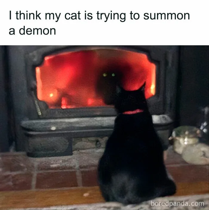 50 Hilariously Dark Memes For People Who Laugh In The Void