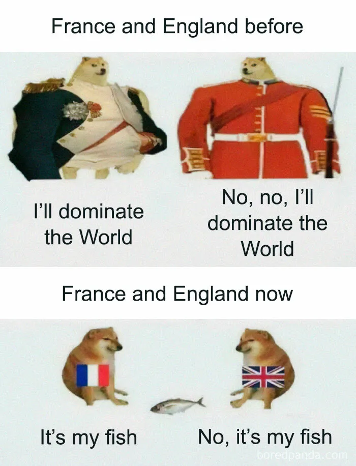 I Think They Will Find It Is Our Fish
