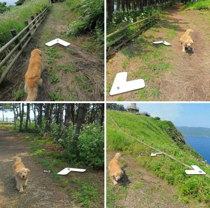 Perro siguiendo al tipo de Google Earth