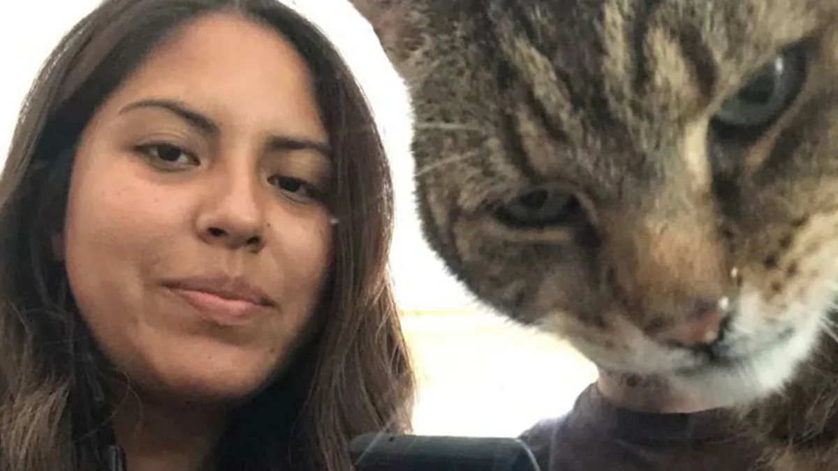 50 Funny Times Pets Ruined The Perfect Shot And Stole Every Crumb Of Spotlight