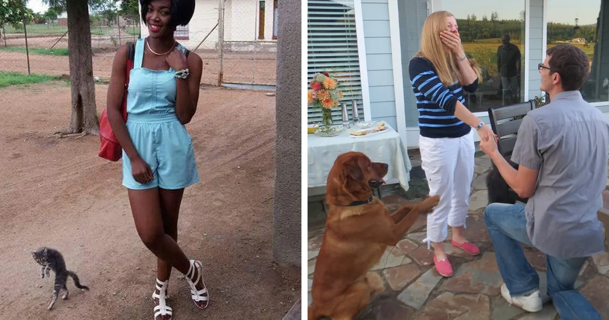 33 Mascotas divertidas haciendo photobomb y robando el protagonismo