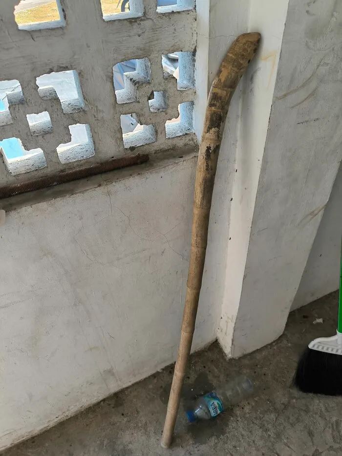 I Found A Cool Stick