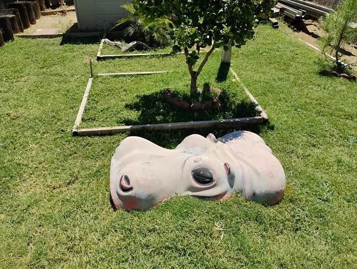 Our Potential New Home Comes With A Huge Concrete Hippo Head