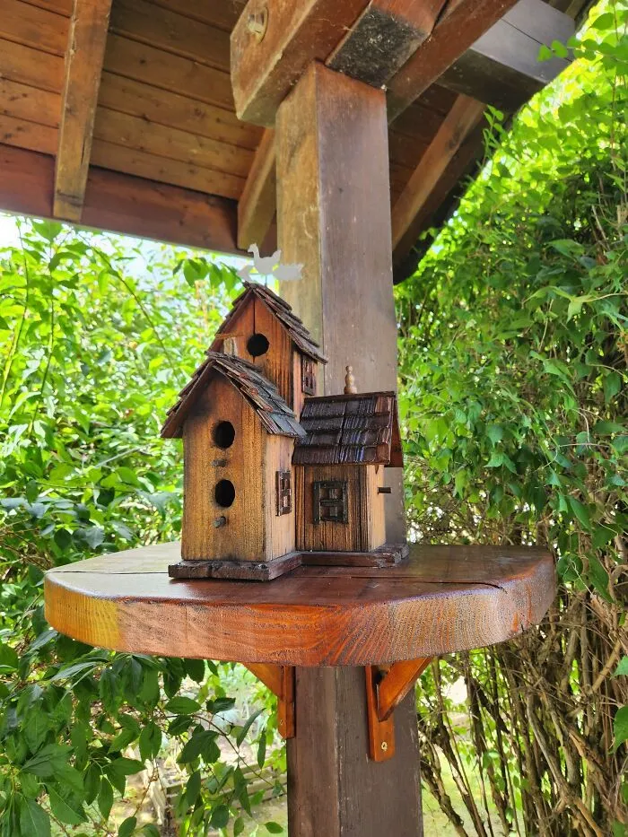 The Bird Cabin My Oncle Just Finished Building For His Garden