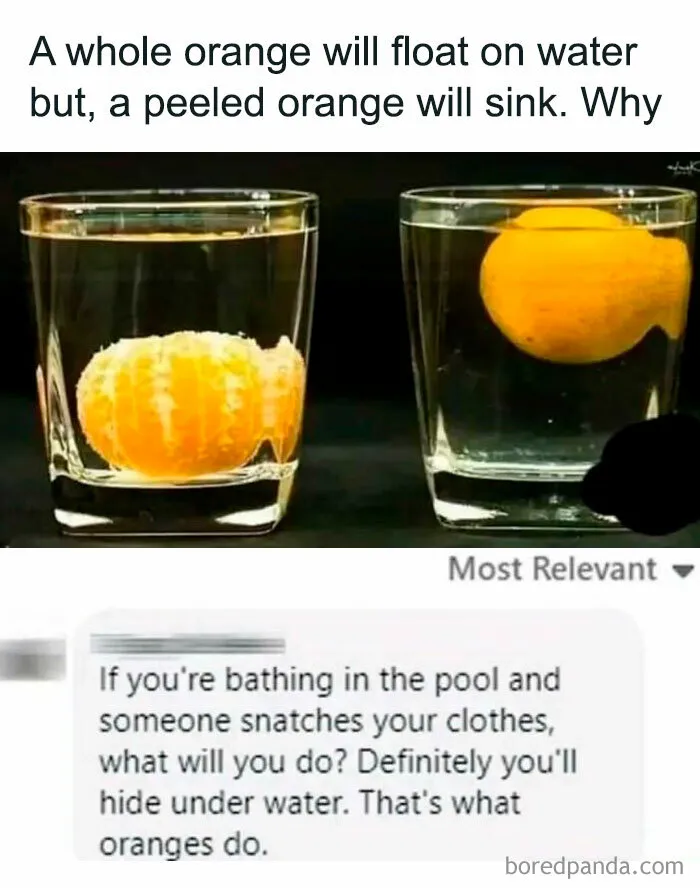 50 Funny Memes If You Like All Kinds Of Science