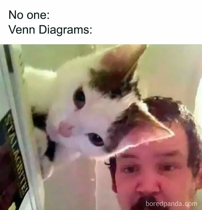50 Funny Memes If You Like All Kinds Of Science