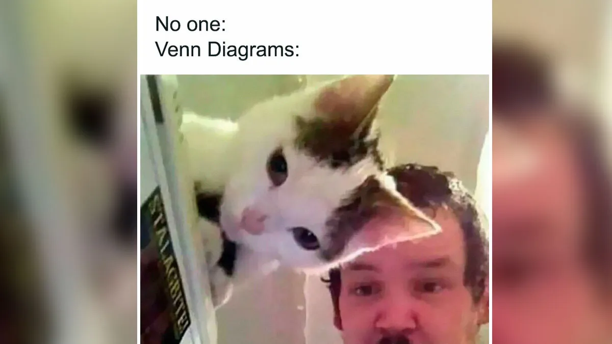 50 Funny Memes If You Like All Kinds Of Science