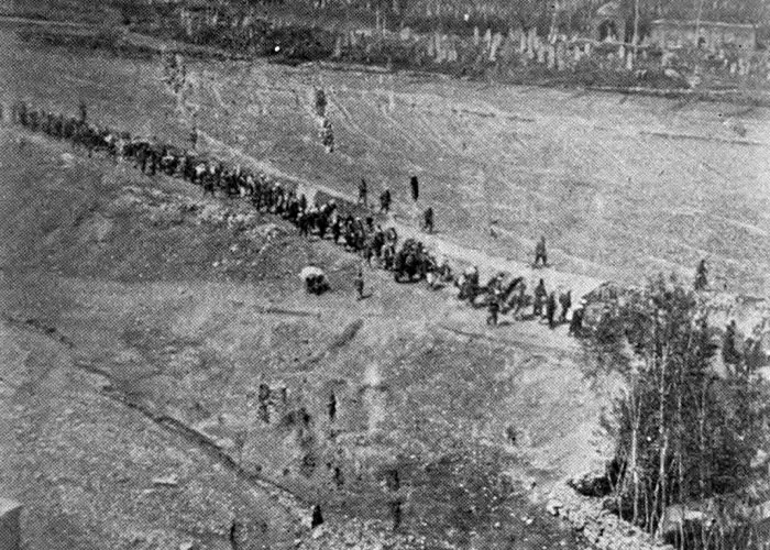“The Survivors Win”: 50 Stories Of People Beating The Odds In History