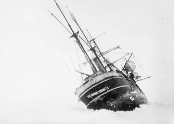 “The Survivors Win”: 50 Stories Of People Beating The Odds In History