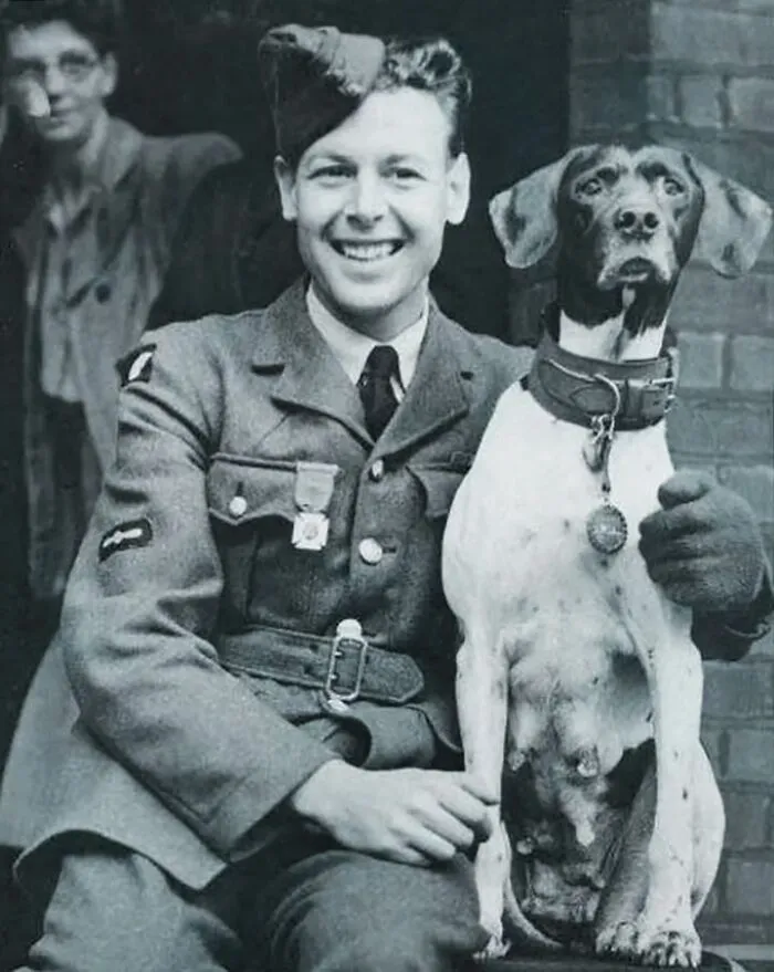 50 Fascinating Historical Photos That Might Change Your Perspective On Pets