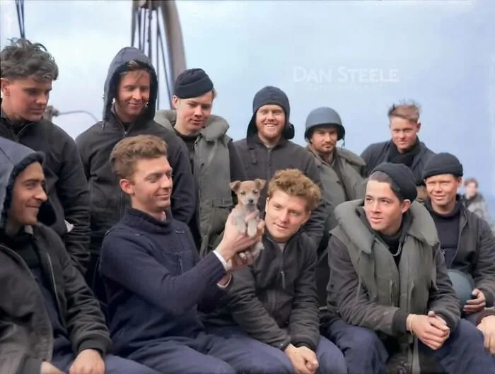 Group of men in vintage military clothing gathered around a small puppy, a fascinating historical photo of pets.