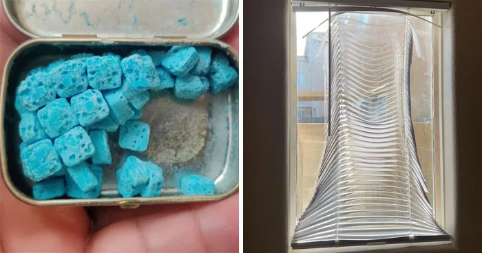 This Summer Heat Wave Is No Joke, As These 45 Terrifying Photos Show