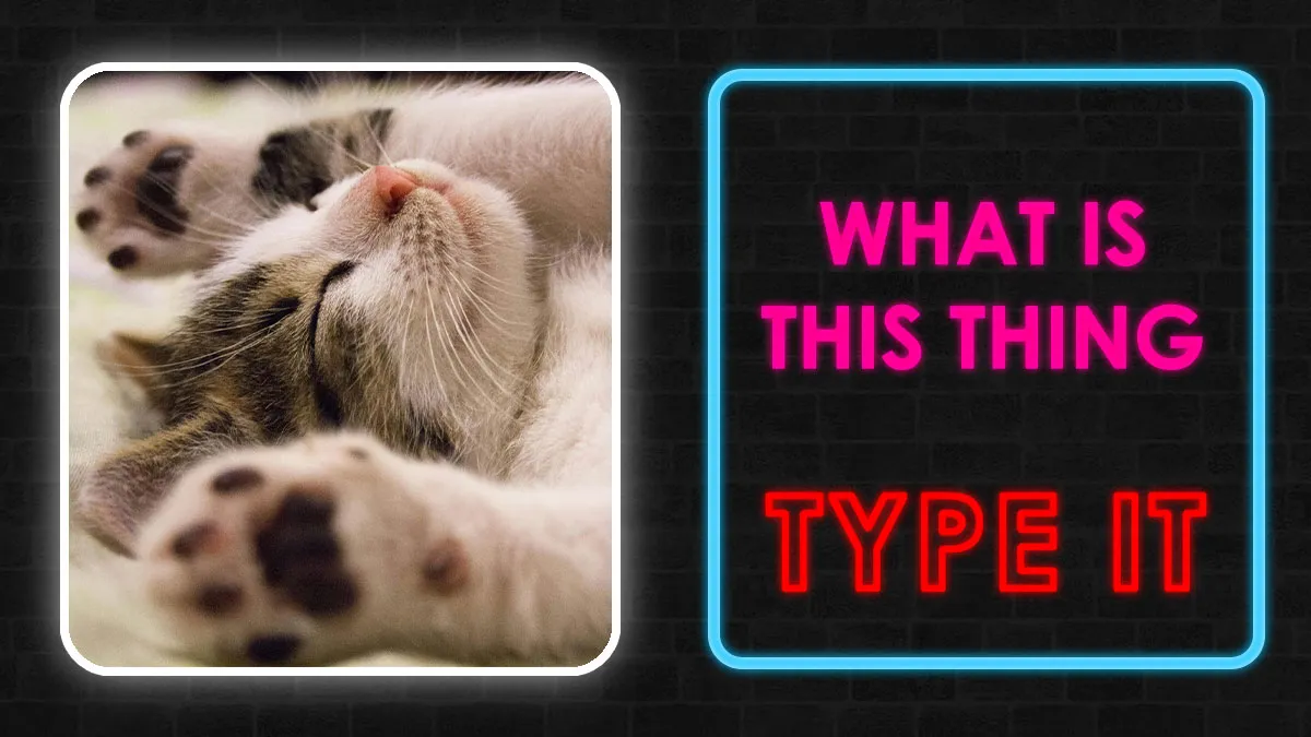 “Can You Really Type ‘12’ As A Word?”: Beat This 28-Word Spelling Challenge
