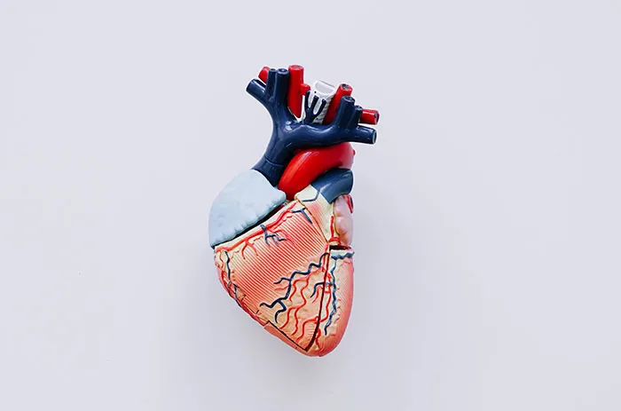“Fascinating Bordering On Funny”: 46 Human Body Quirks You Probably Didn’t Know