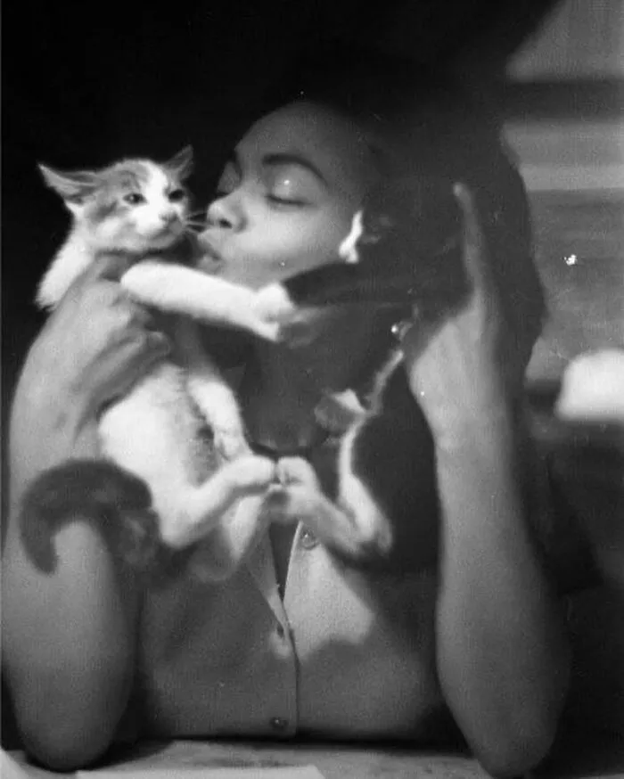 Eartha Kitt With Kitties, 1952