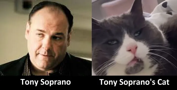 Doppelgamboneie