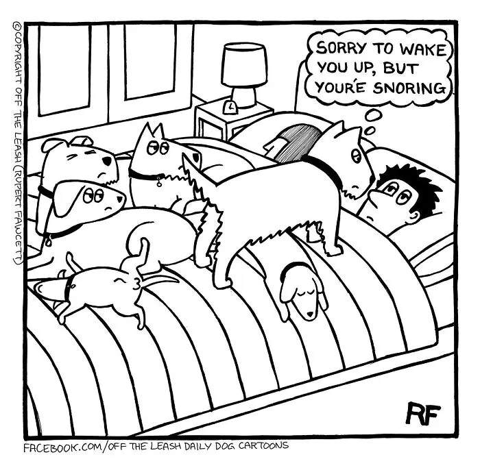 Cartoon of multiple dogs on a bed with their owner, illustrating funny moments dog owners often relate to.