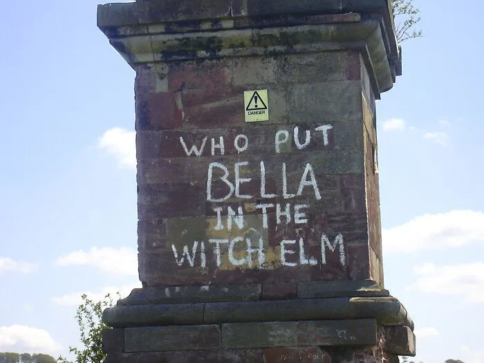 Who Put Bella In The Wych Elm?