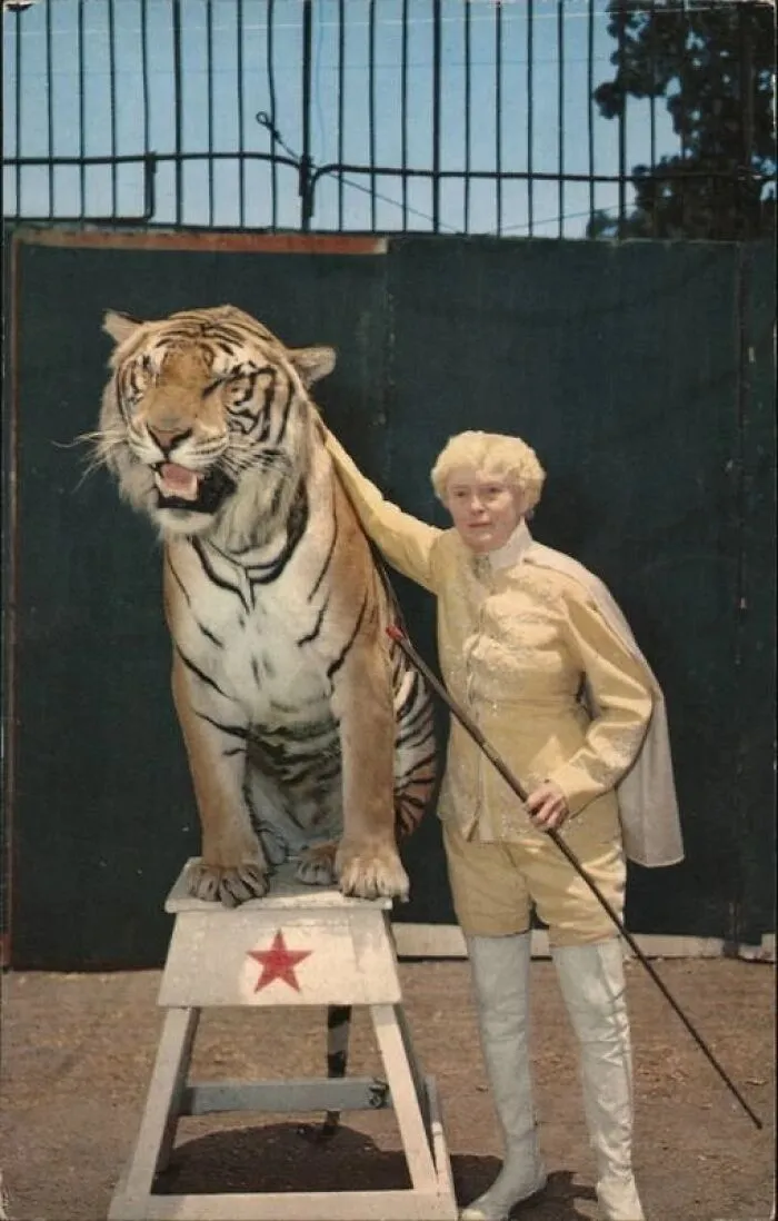 Mabel Stark, Tiger Trainer. Jungleland