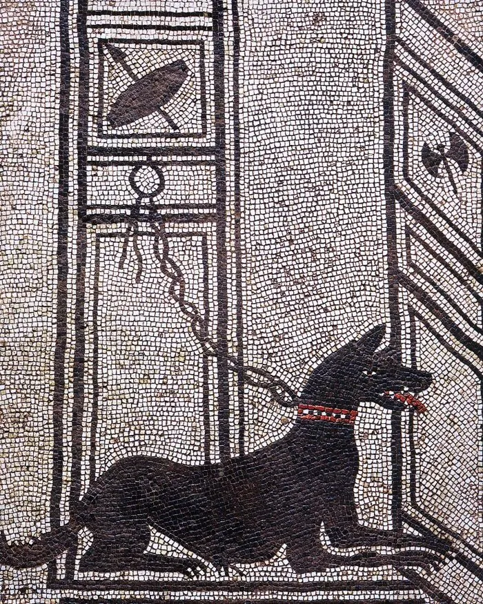 Antiguo perro romano