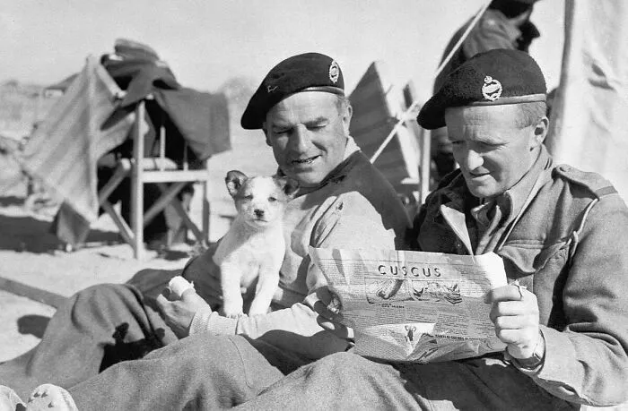 Soldados durante un evento histórico leyendo un periódico con un cachorro en un descanso en el campamento militar.