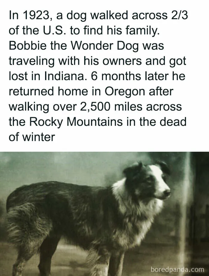50 Creepy Real-World Facts And Pics That Are More Disturbing Than Most Horror Movies