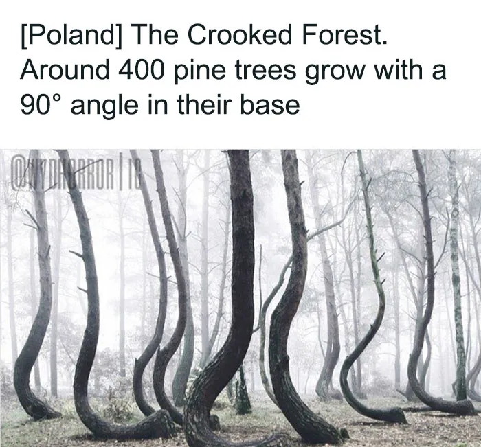 50 Creepy Real-World Facts And Pics That Are More Disturbing Than Most Horror Movies