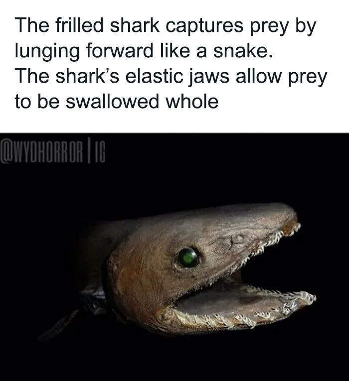 50 Creepy Real-World Facts And Pics That Are More Disturbing Than Most Horror Movies