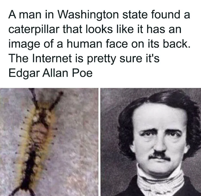 50 Creepy Real-World Facts And Pics That Are More Disturbing Than Most Horror Movies