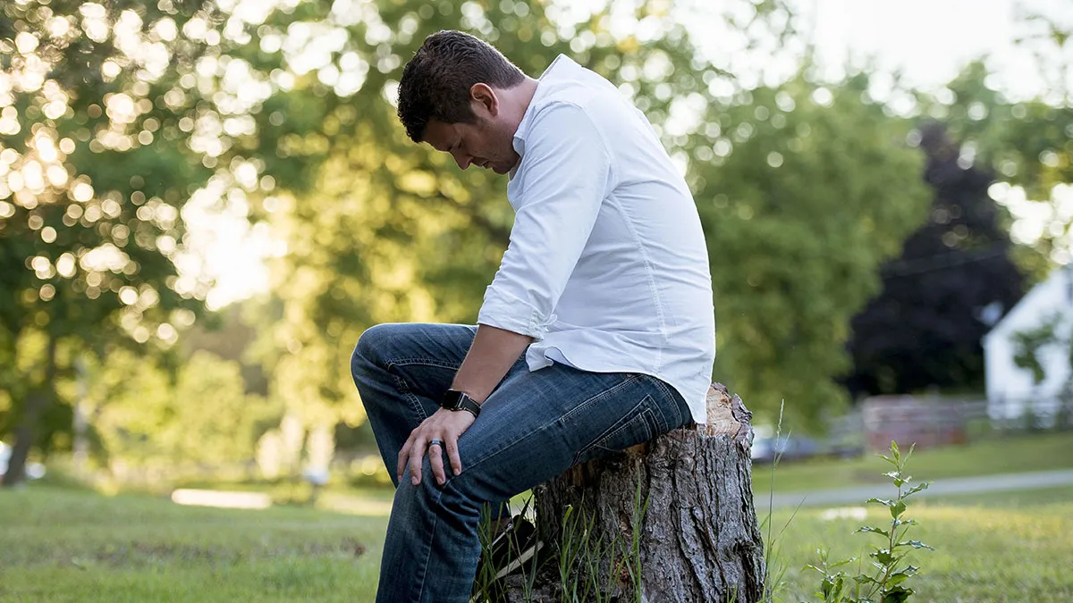“Entitled Karen Chops Down My Tree, Costs Her £500,000”