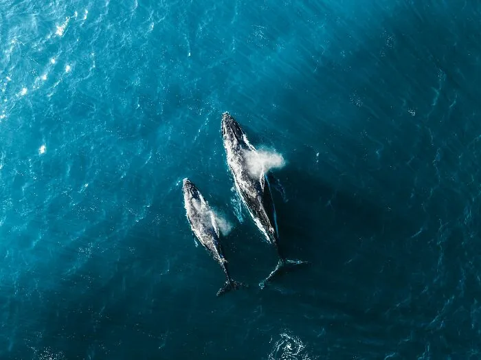 Tired Of Bad News? Here Are 42 Bits Of Good News That Deserve The Spotlight