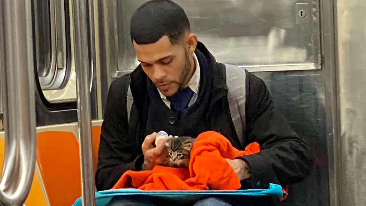 This Guy Casually Bottle-Fed A Kitten On The Subway, Now He’s Threatening To Break The Internet