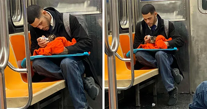 This Guy Casually Bottle-Fed A Kitten On The Subway, Now He’s Threatening To Break The Internet