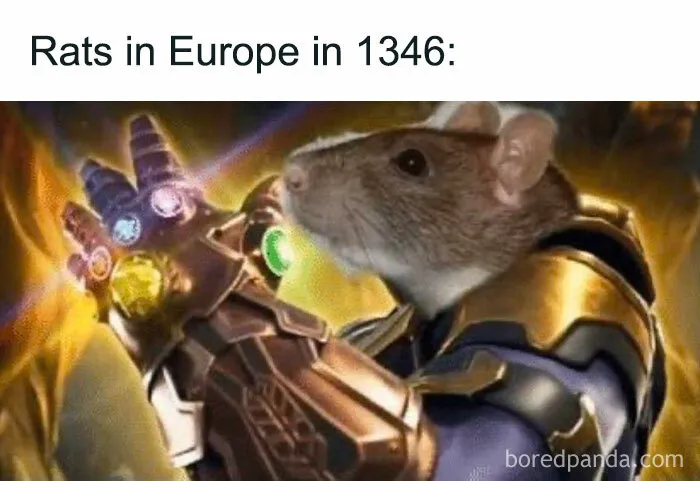 This Does But A Smile On My Face