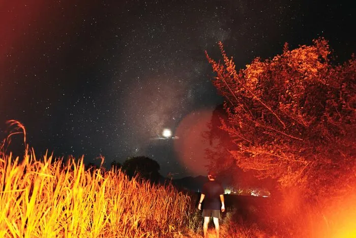 “Still Scares Me”: 47 People Who Couldn’t Sleep For Days After Spending Time In The Woods