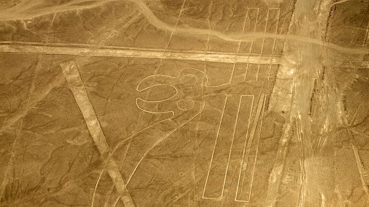 AI Spots 303 Nazca Figures In Six Weeks That Human Eyes Had Been Missing For Over A Century