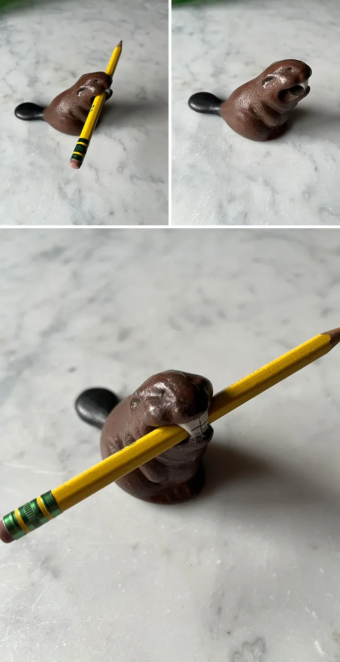 Did I Go To Goodwill Looking For A Cast-Iron Beaver Pencil Holder? Nope. Do I Have One Now? H**l Yes I Do